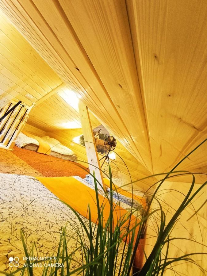 Noclegi U Gabrysi Koscielisko Ngoại thất bức ảnh